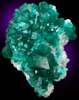 Dioptase from Tsumeb Mine, Otavi-Bergland District, Oshikoto, Namibia