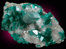 Dioptase from Tsumeb Mine, Otavi-Bergland District, Oshikoto, Namibia