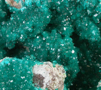 Dioptase from Tsumeb Mine, Otavi-Bergland District, Oshikoto, Namibia