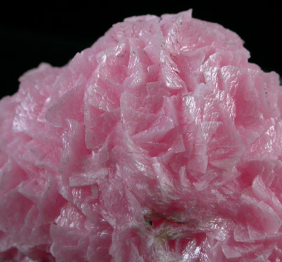 Rhodochrosite from N'Chwaning II Mine, Kalahari Manganese Field, Northern Cape Province, South Africa