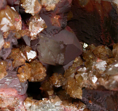 Scheelite on Quartz from Zinnwald-Cnovec District, Erzgebirge, Saxony-Bohemia border region, Germany-Czech Republic