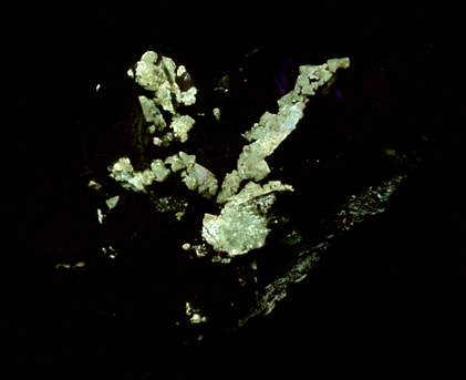 Scheelite on Quartz from Zinnwald-Cnovec District, Erzgebirge, Saxony-Bohemia border region, Germany-Czech Republic