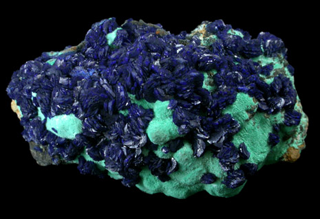 Azurite on Malachite from Copper Queen Mine, Bisbee, Warren District, Cochise County, Arizona