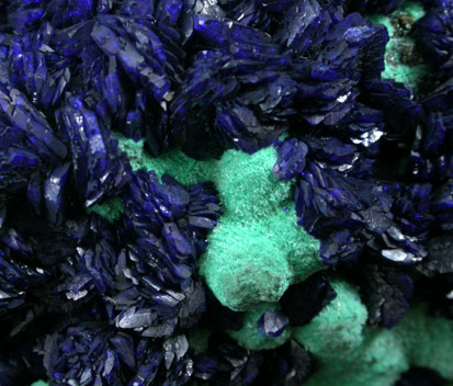 Azurite on Malachite from Copper Queen Mine, Bisbee, Warren District, Cochise County, Arizona