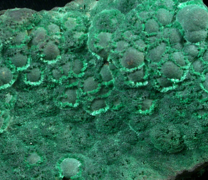 Malachite from Copper Queen Mine, Bisbee, Warren District, Cochise County, Arizona