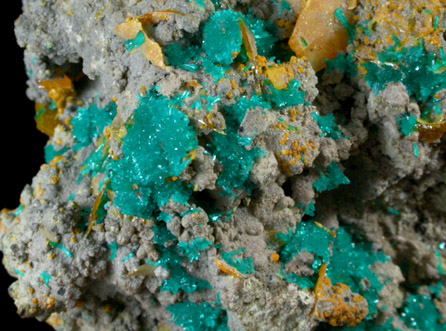 Dioptase and Wulfenite on Willemite from Mammoth-St. Anthony Mine, Tiger, Pinal County, Arizona