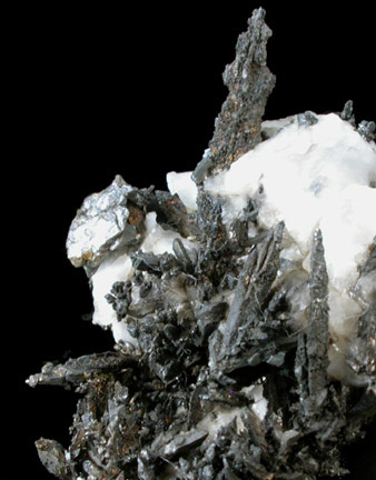 Silver in Calcite from Andres del Rio District, Batopilas, Chihuahua, Mexico