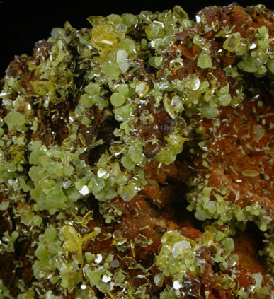 Wulfenite and Mimetite from Mina Ojuela, Mapimi, Durango, Mexico