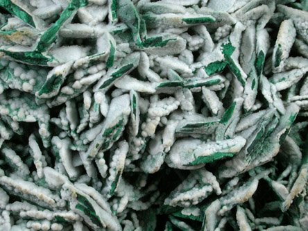 Malachite pseudomorphs after Azurite with Calcite coating from Bisbee, Warren District, Cochise County, Arizona