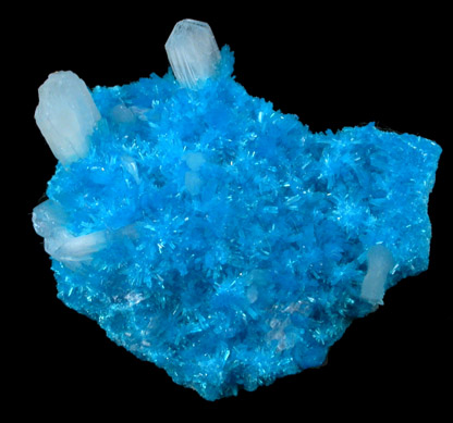 Cavansite on Stilbite from Wagholi Quarry, Maharashtra, India