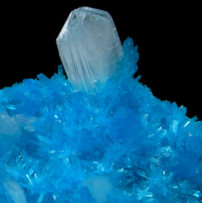 Cavansite on Stilbite from Wagholi Quarry, Maharashtra, India