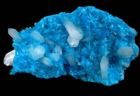 Cavansite on Stilbite from Wagholi Quarry, Maharashtra, India