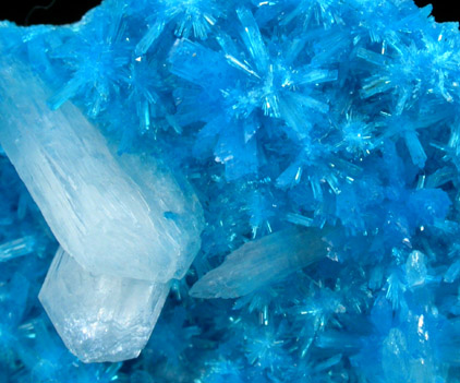 Cavansite on Stilbite from Wagholi Quarry, Maharashtra, India