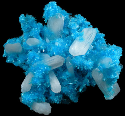 Cavansite on Stilbite from Wagholi Quarry, Maharashtra, India