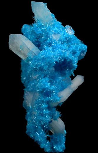 Cavansite on Stilbite from Wagholi Quarry, Maharashtra, India