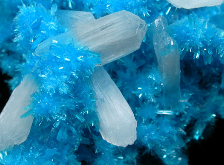 Cavansite on Stilbite from Wagholi Quarry, Maharashtra, India