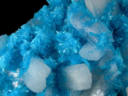 Cavansite on Stilbite from Wagholi Quarry, Maharashtra, India