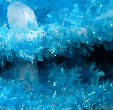 Cavansite on Stilbite from Wagholi Quarry, Maharashtra, India