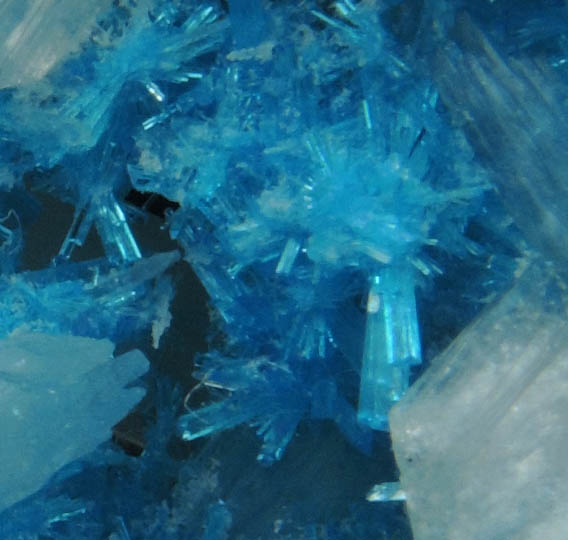 Cavansite with Stilbite-Ca from Wagholi Quarry, Maharashtra, India