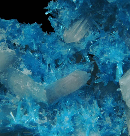 Cavansite with Stilbite-Ca from Wagholi Quarry, Maharashtra, India