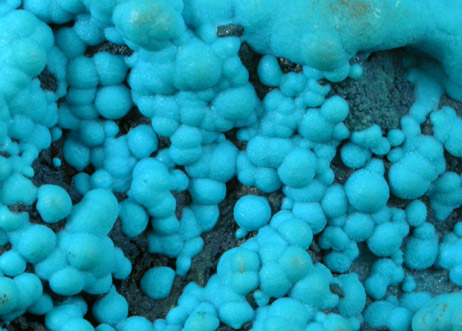 Chrysocolla on Heterogenite from Lubumbashi, Katanga Copperbelt, Haut-Katanga Province, Democratic Republic of the Congo