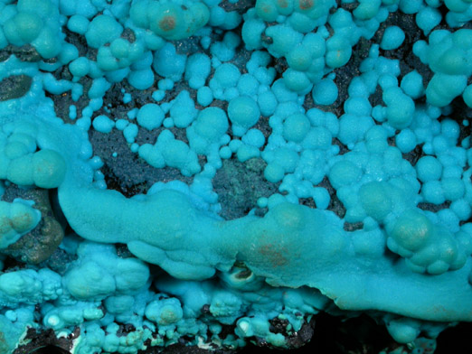 Chrysocolla on Heterogenite from Lubumbashi, Katanga Copperbelt, Haut-Katanga Province, Democratic Republic of the Congo