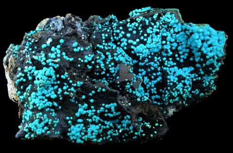 Chrysocolla on Heterogenite from Lubumbashi, Katanga Copperbelt, Haut-Katanga Province, Democratic Republic of the Congo