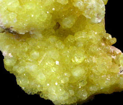 Ettringite from Wessels Mine, Kalahari Manganese Field, Northern Cape Province, South Africa