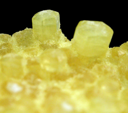 Ettringite from Wessels Mine, Kalahari Manganese Field, Northern Cape Province, South Africa