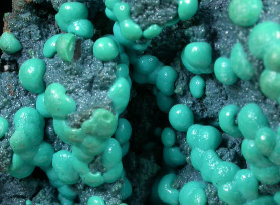 Chrysocolla from Lubumbashi, Katanga Copperbelt, Haut-Katanga Province, Democratic Republic of the Congo