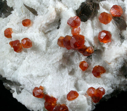 Spessartine Garnet and Smoky Quartz on Microcline from Putian, Tongbei-Yunling District, Fujian Province, China