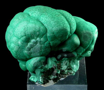 Malachite from Lubumbashi, Katanga Copperbelt, Haut-Katanga Province, Democratic Republic of the Congo