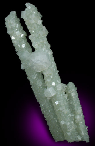 Apophyllite on Prehnite pseudomorphs after Laumontite from Bombay Quarry, Mumbai (Bombay), Maharastra, India