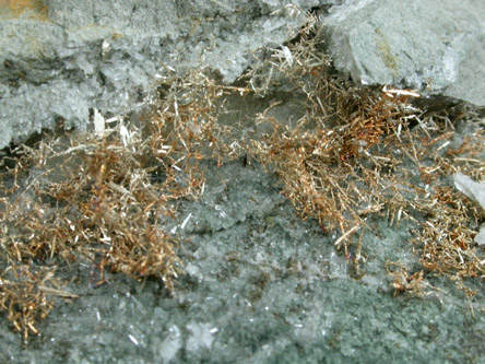 Gold (fine wire crystals) from Olinghouse Mine, 6030 bench, 813 pit, Washoe County, Nevada