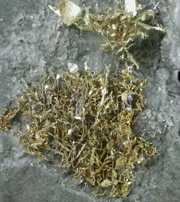 Gold (fine wire crystals) from Olinghouse Mine, 6030 bench, 813 pit, Washoe County, Nevada