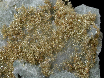 Gold (fine wire crystals) from Olinghouse Mine, 6030 bench, 813 pit, Washoe County, Nevada