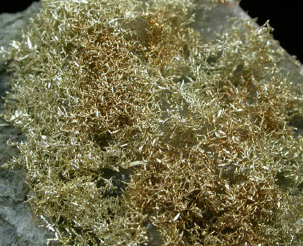 Gold (fine wire crystals) from Olinghouse Mine, 6030 bench, 813 pit, Washoe County, Nevada