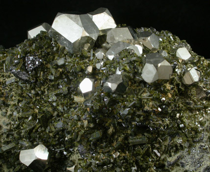 Pyrite with Epidote from Karzamkul Mine, 90 km from Rudniy, Kazakhstan