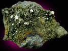 Pyrite with Epidote from Karzamkul Mine, 90 km from Rudniy, Kazakhstan