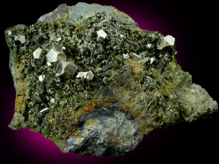 Pyrite with Epidote from Karzamkul Mine, 90 km from Rudniy, Kazakhstan