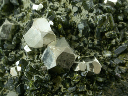 Pyrite with Epidote from Karzamkul Mine, 90 km from Rudniy, Kazakhstan