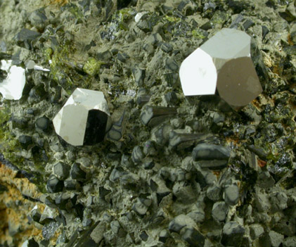 Pyrite with Epidote from Karzamkul Mine, 90 km from Rudniy, Kazakhstan