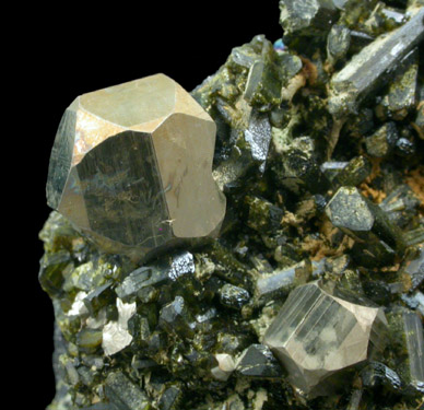 Pyrite with Epidote from Karzamkul Mine, 90 km from Rudniy, Kazakhstan