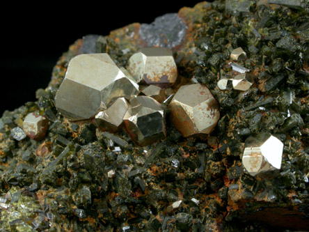 Pyrite with Epidote from Karzamkul Mine, 90 km from Rudniy, Kazakhstan