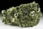 Pyrite with Epidote from Karzamkul Mine, 90 km from Rudniy, Kazakhstan