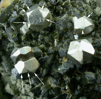 Pyrite with Epidote from Karzamkul Mine, 90 km from Rudniy, Kazakhstan