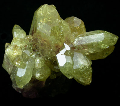 Vesuvianite from Jeffrey Mine, Asbestos, Qubec, Canada