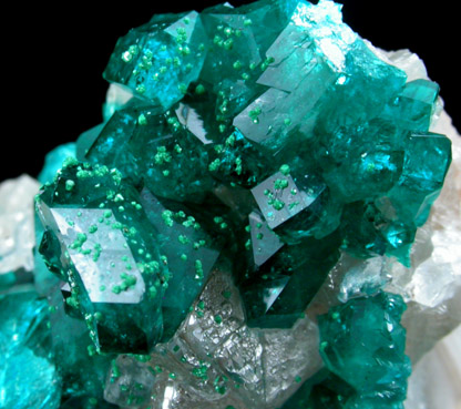 Dioptase on Calcite from Altyn-Tyube, 66 km east of Karagandy, Karaganda Oblast', Kazakhstan (Type Locality for Dioptase)