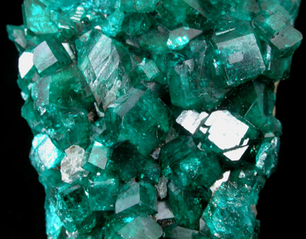 Dioptase from Altyn-Tyube, 66 km east of Karagandy, Karaganda Oblast', Kazakhstan (Type Locality for Dioptase)