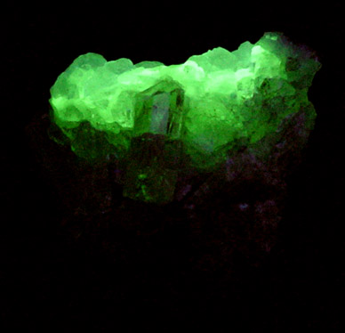 Fluorapatite in Quartz from Cerro de Mercado, Durango, Mexico